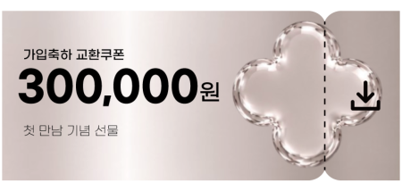 교환쿠폰 30만원 [E·5번]